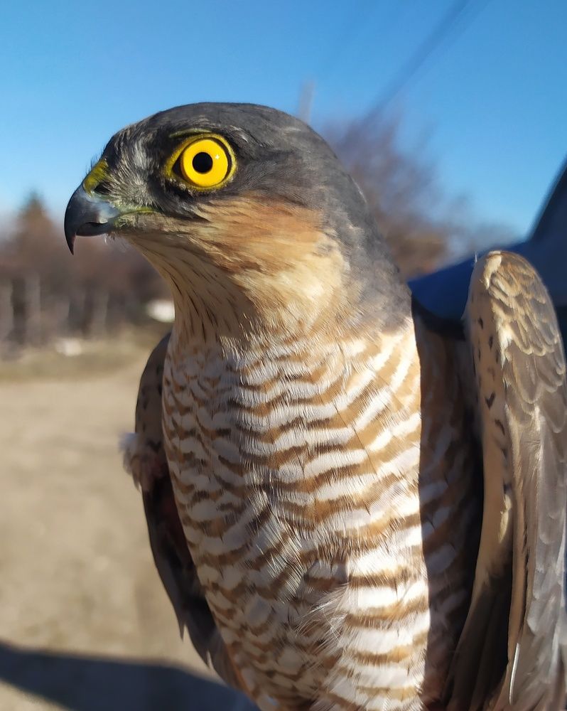 Photograph by Petar Atanasov