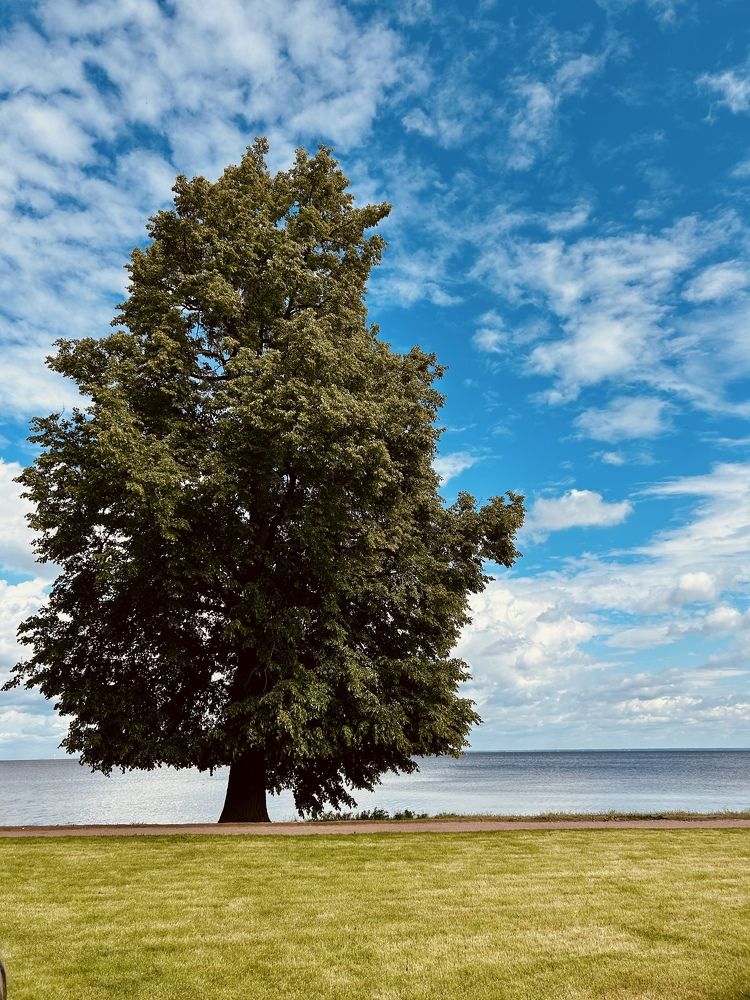 Фотография автора Nastasya Sablina