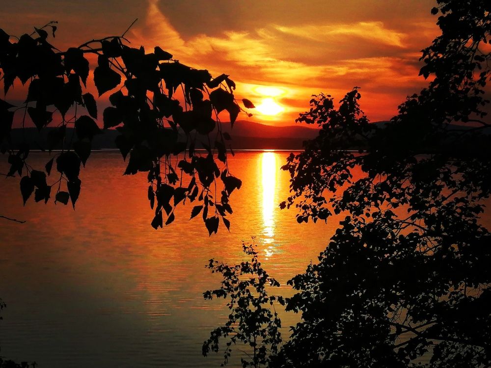 Photograph by Дмитрий Петренко