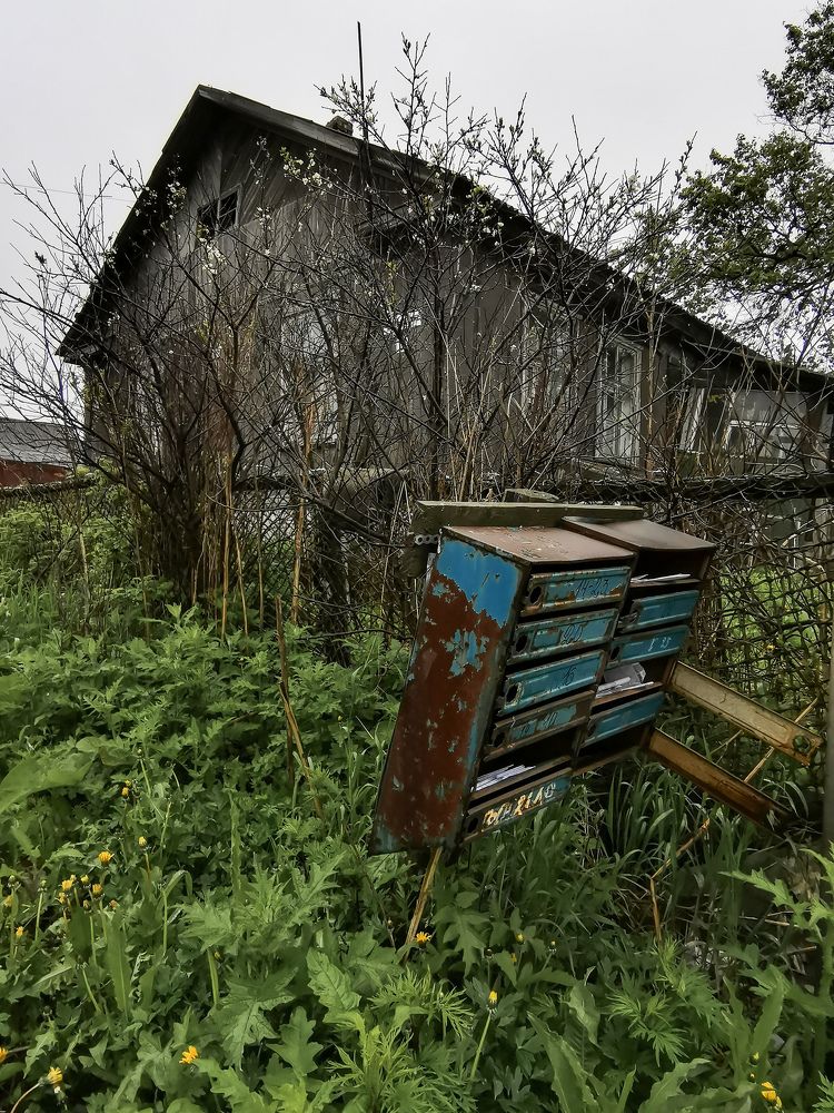 Photograph by Ирина Ветюгова