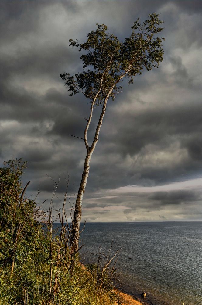 Photograph by Леонид Соболев