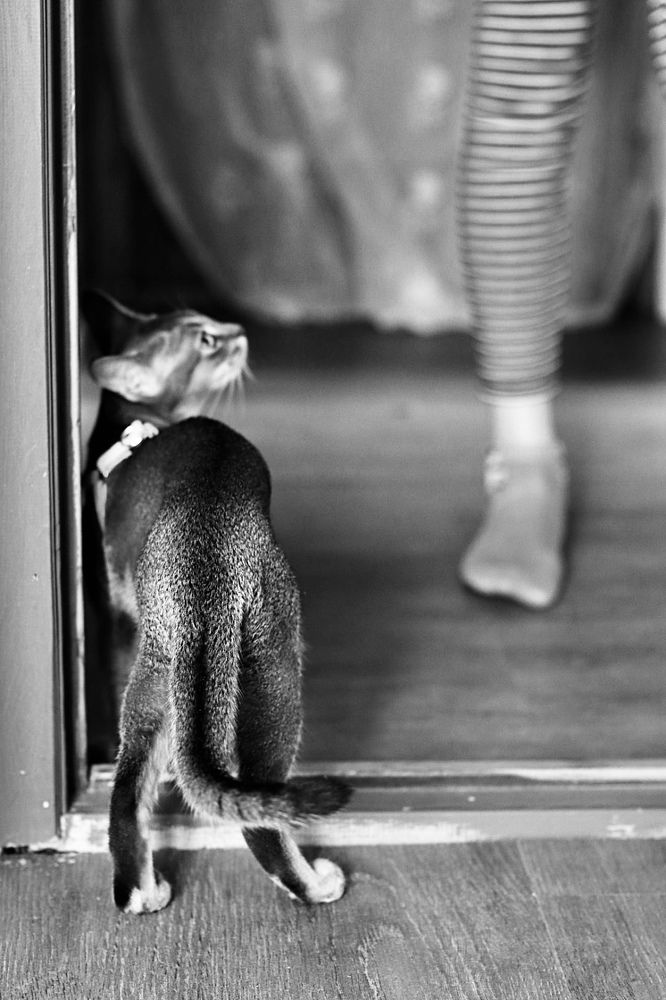 Photograph by Евгения Иванова