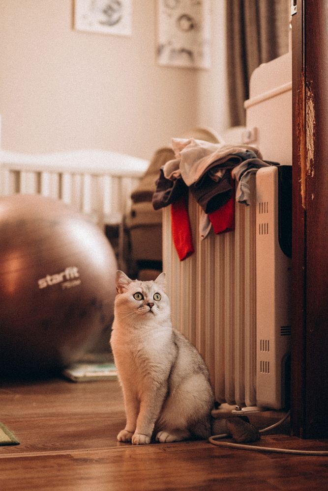 Photograph by Светлана Гришина