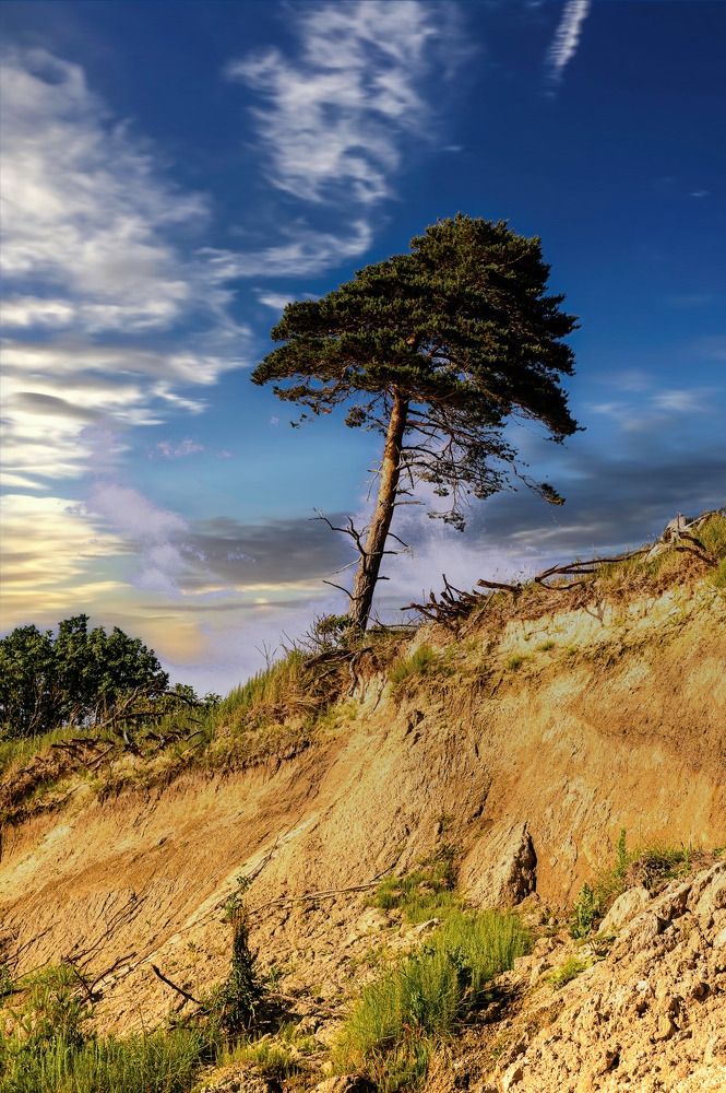 Photograph by Леонид Соболев