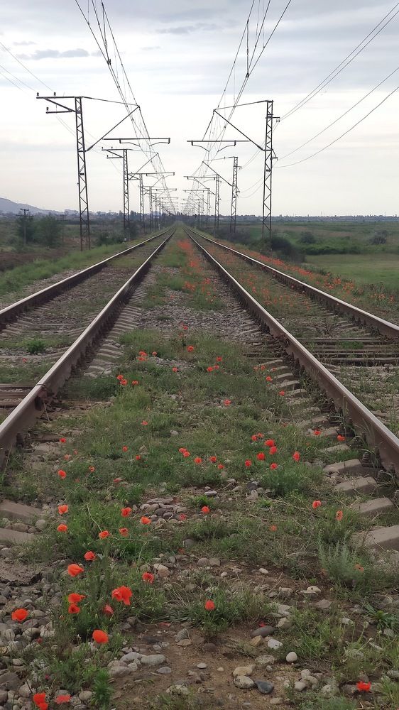 Photograph by Maru Ф