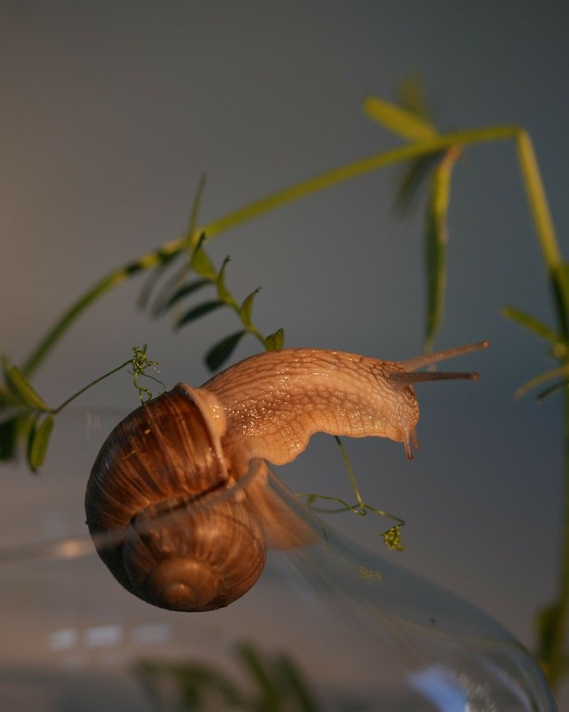 Фотография автора Nastasya Sablina