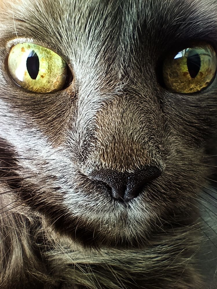 Photograph by Irina Shishkina