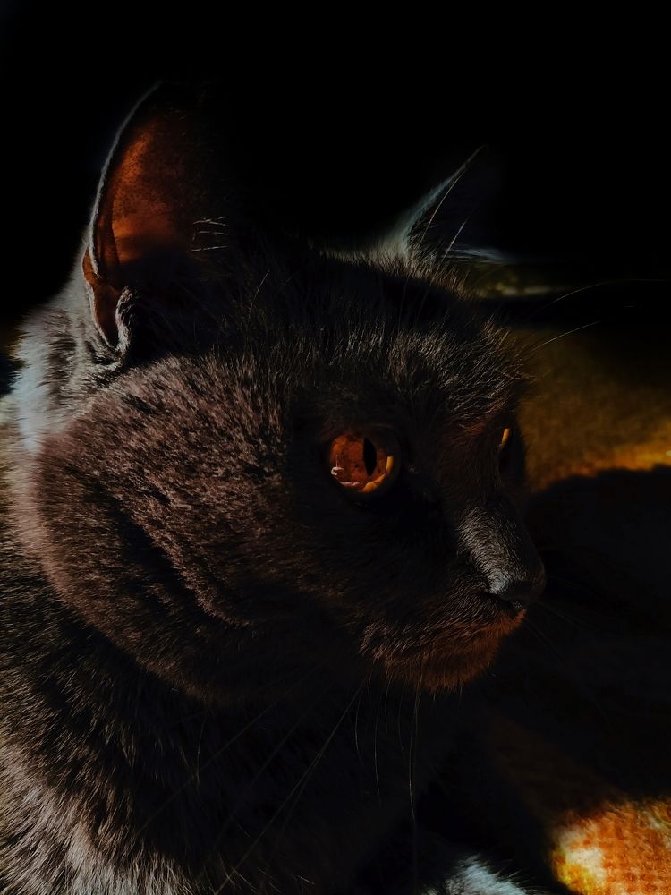 Photograph by Irina Shishkina