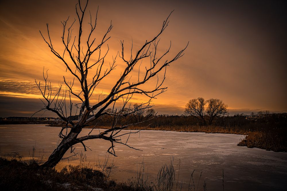 Photograph by mk4oto