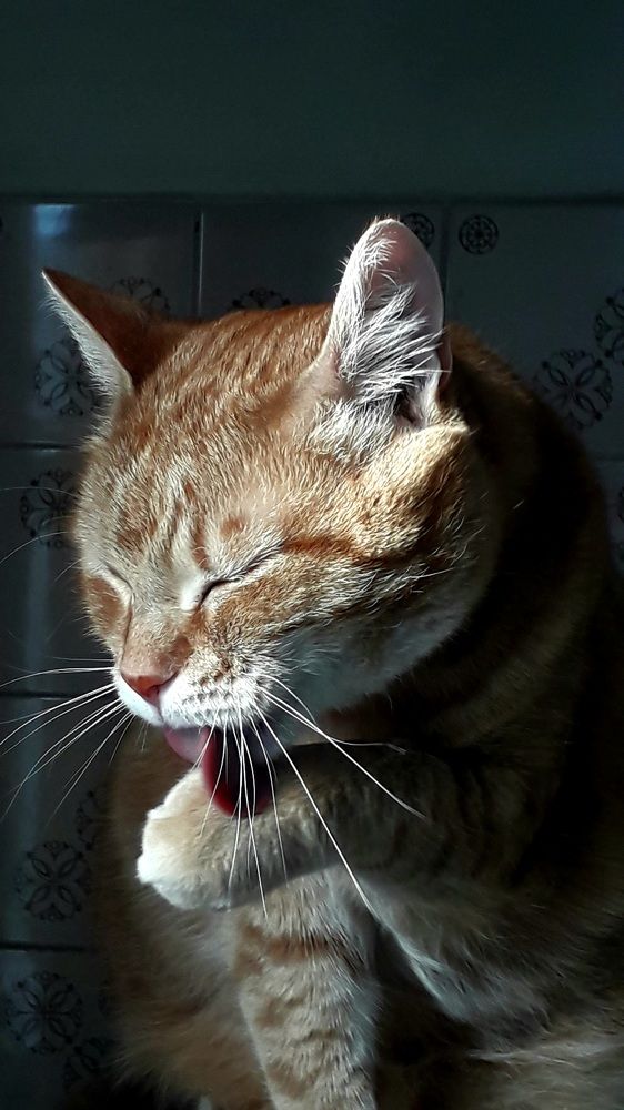 Photograph by Татьяна Солтан