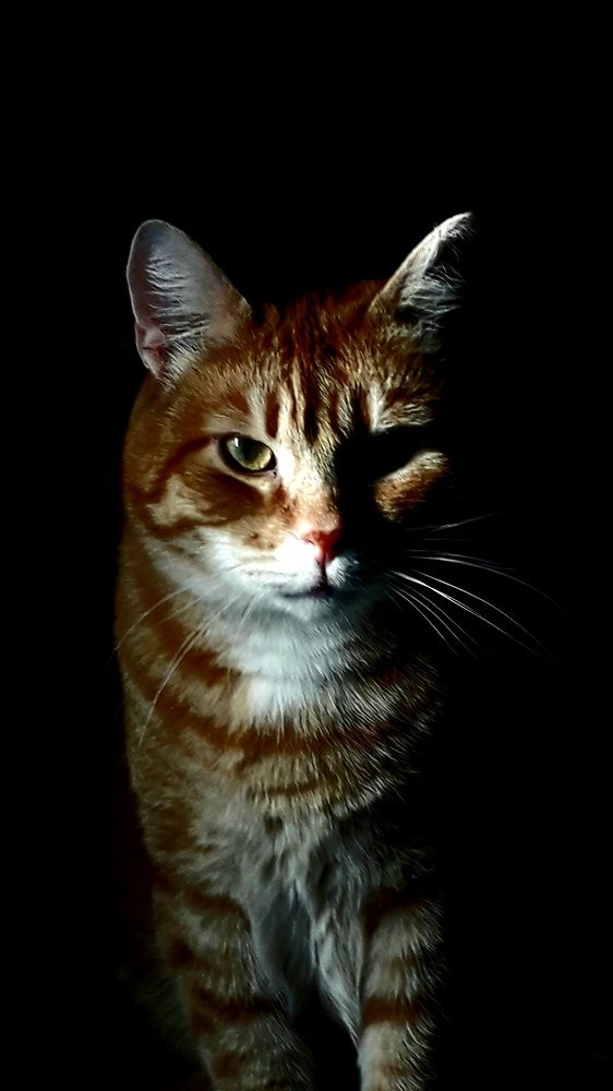 Photograph by Татьяна Солтан