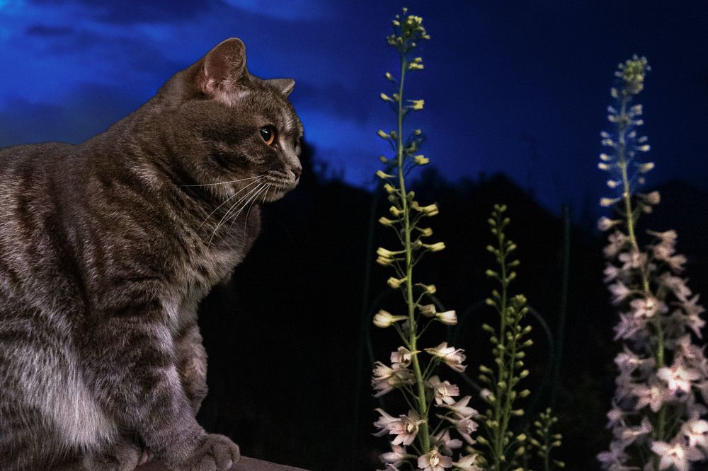 Photograph by Светлана Пузикова