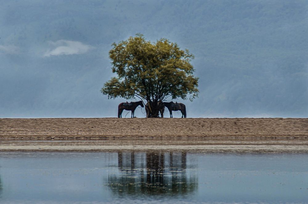 Photograph by Альфия Опарина