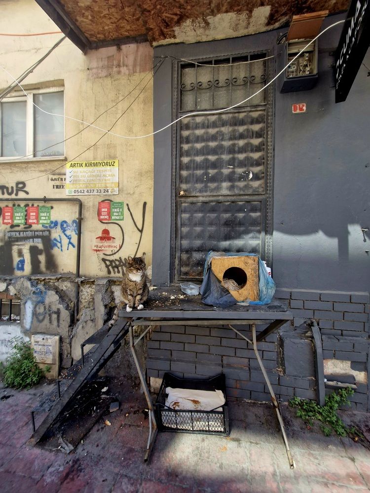 Photograph by Igor Chechin