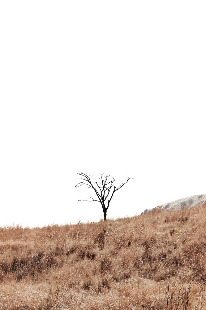 Photograph by Rushikesh Udawant