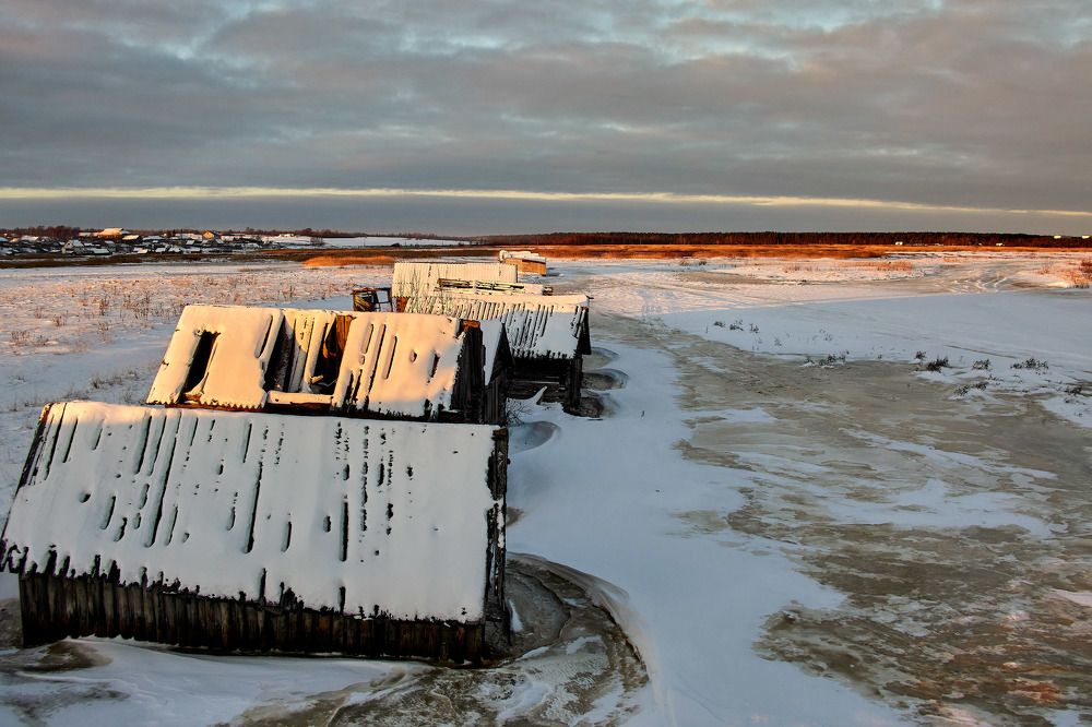 Фотография автора Totoro