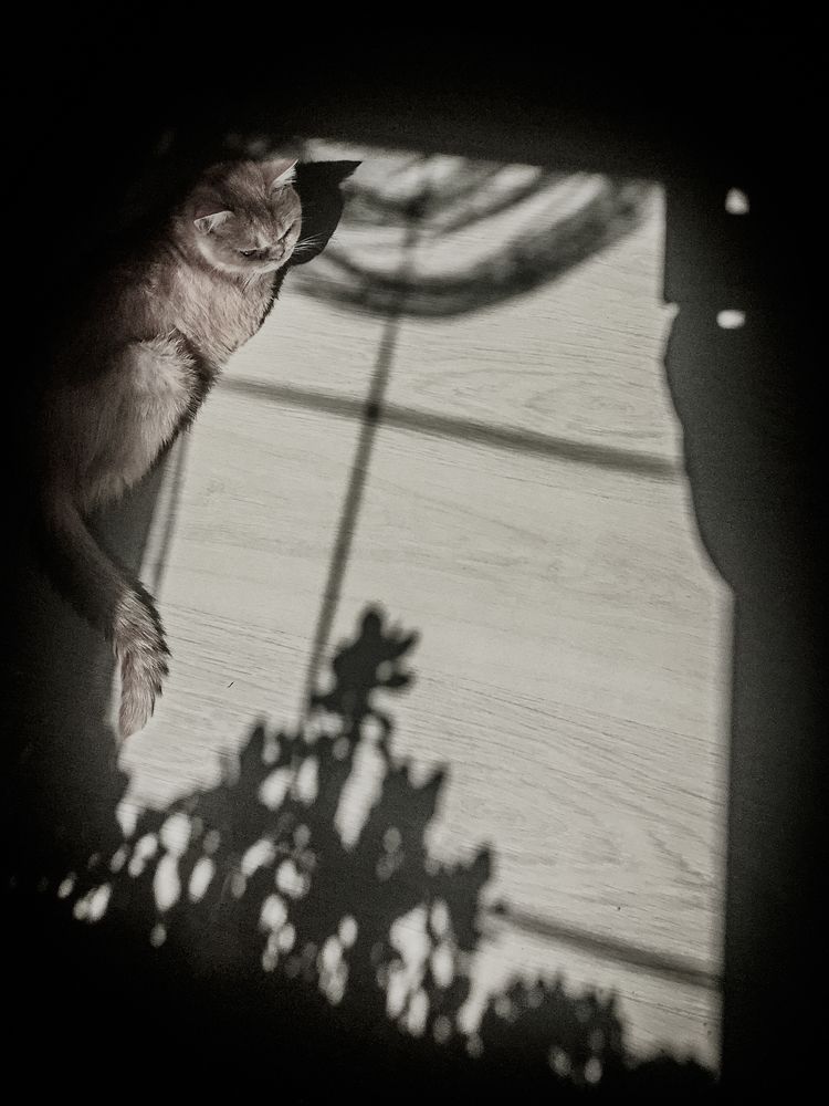 Photograph by Dina Garipova