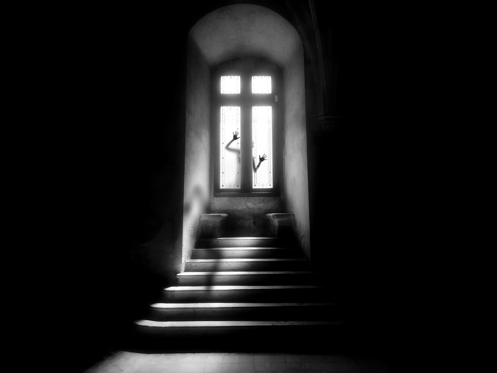 Photograph by Laurentiu Lupascu