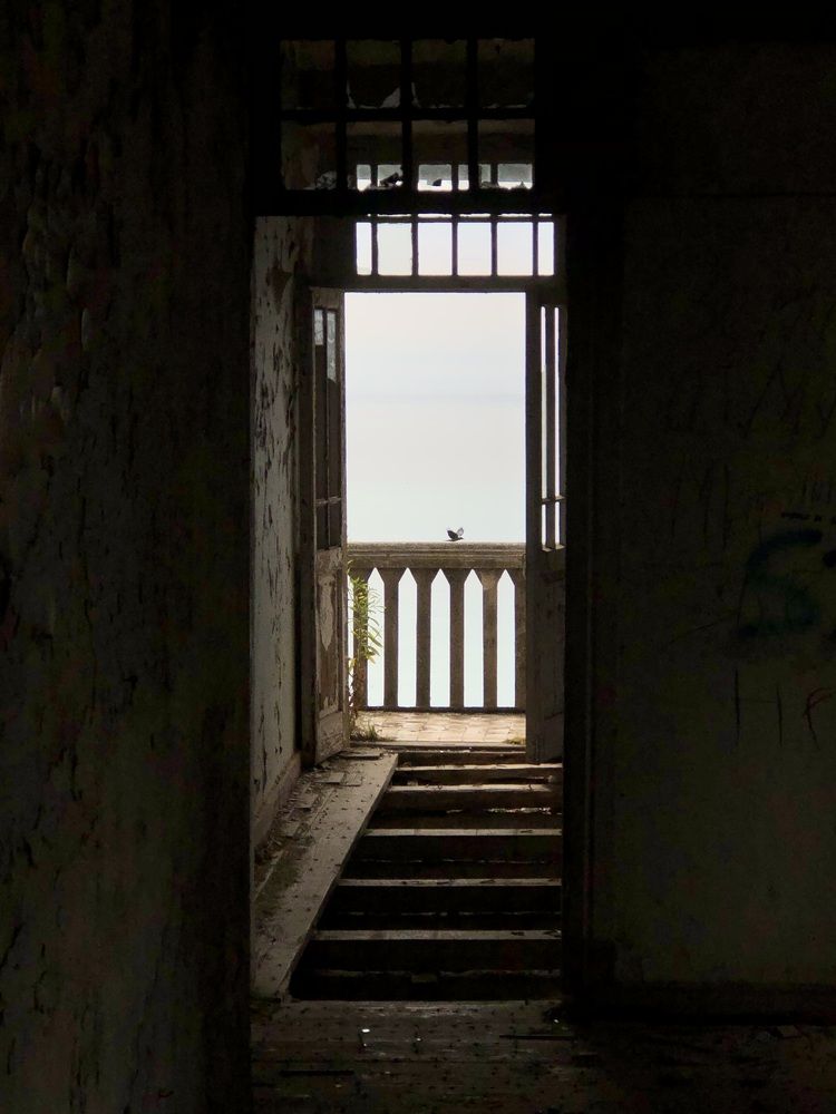 Photograph by Мария Бессмертная