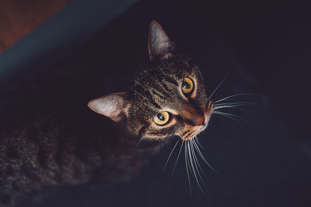 Photograph by Ольга Глущенко