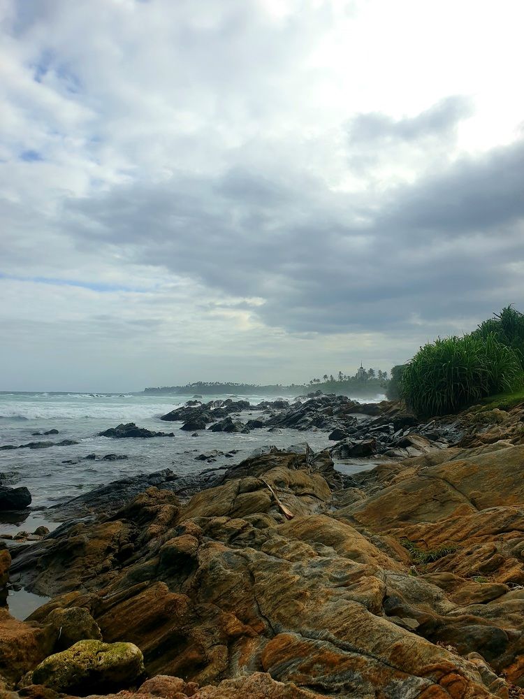 Photo #10737416