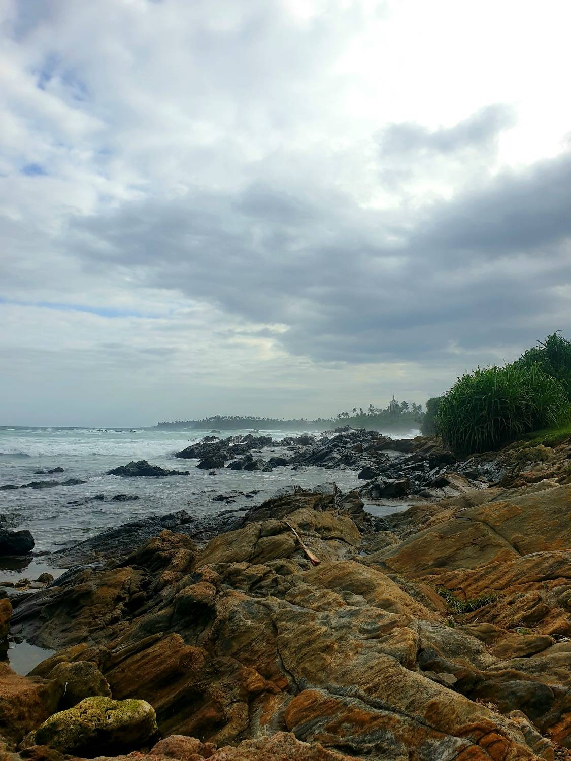 Photo #10737416