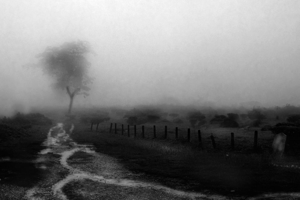 Photograph by saikat chanda