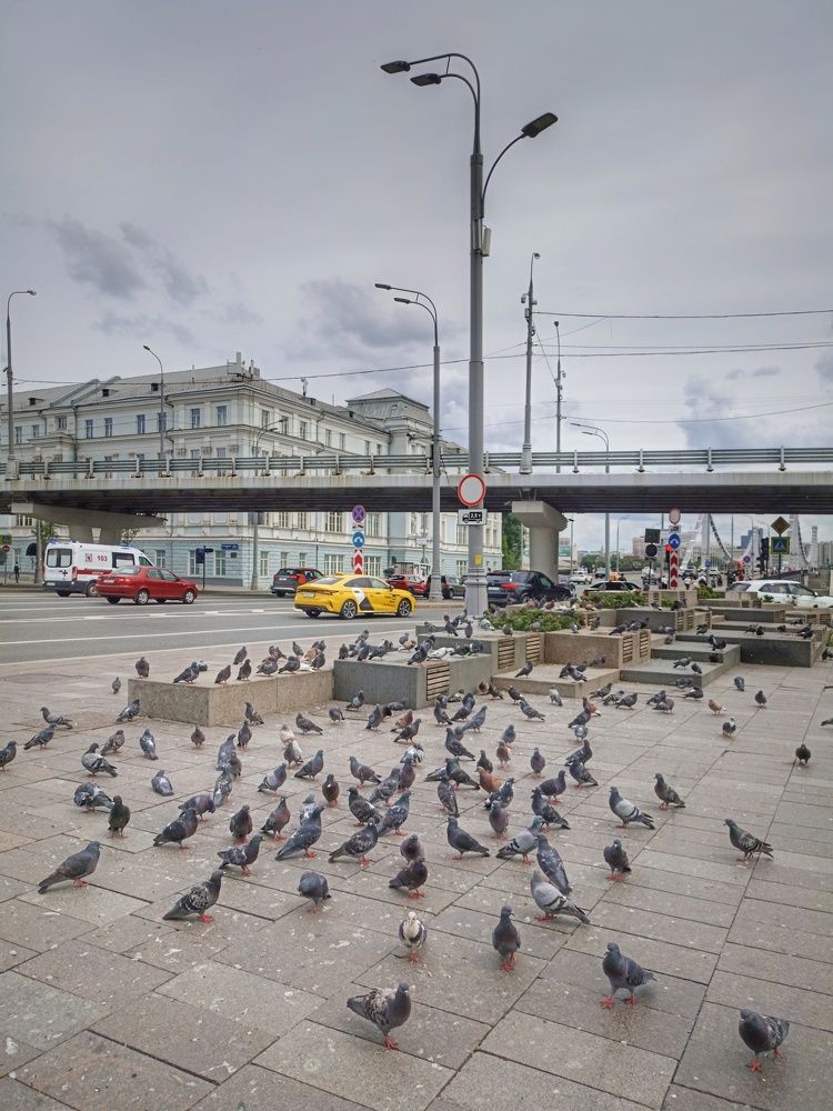 Фотография автора Татьяна Бурлакина