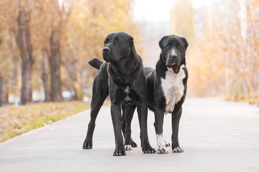 Photograph by Ольга Мазлова