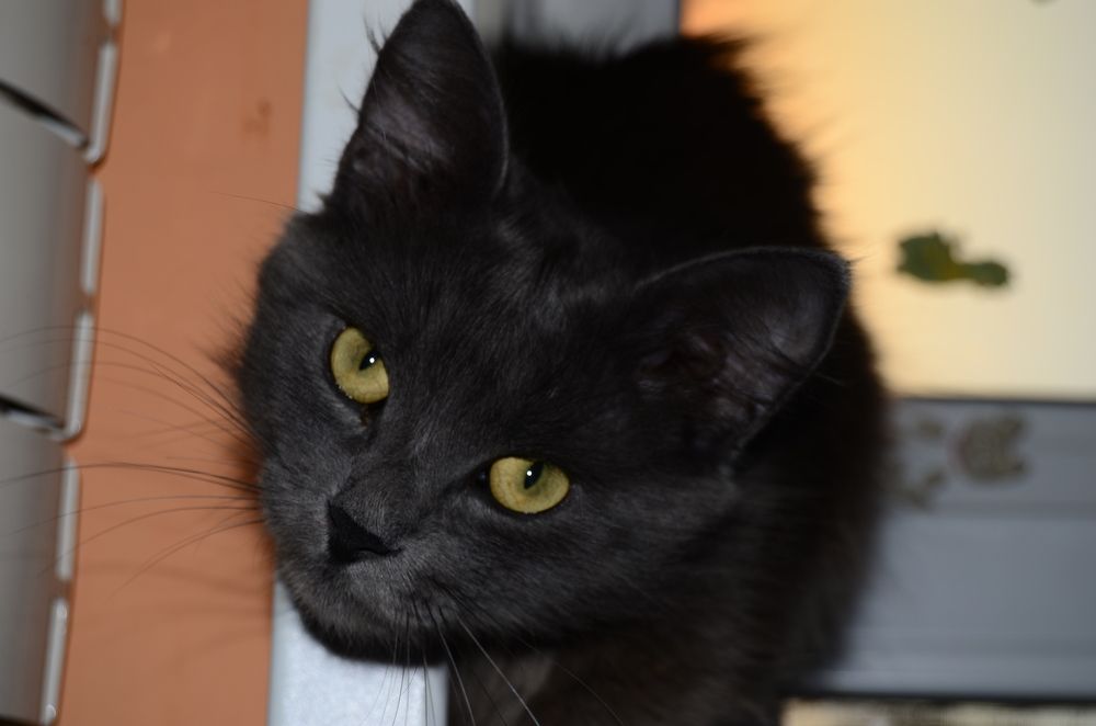 Photograph by Анастасия Кудина