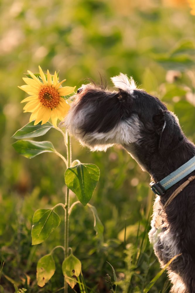 Photograph by Ольга Мазлова