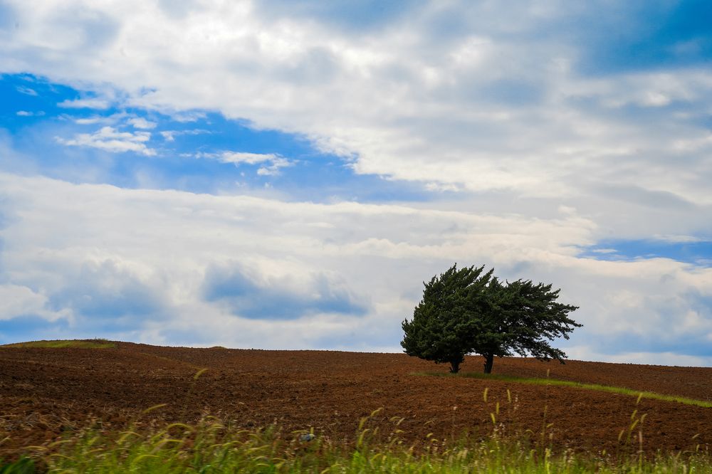 Фотография автора Mohammed Alhusseini
