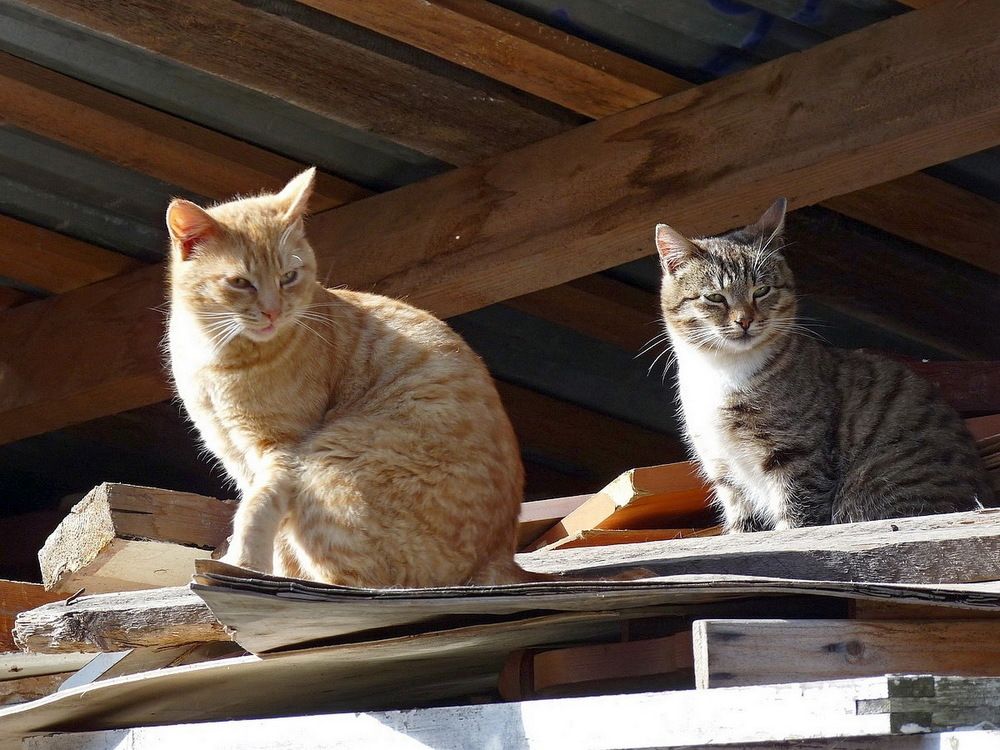 Photograph by Игорь Меньшенин