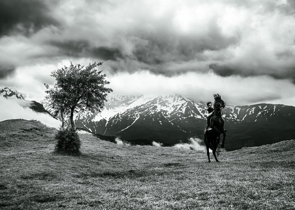 Фотография автора Mohammed Alhusseini