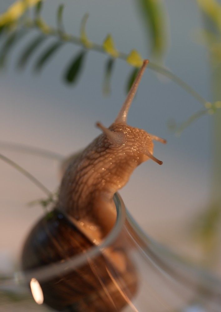 Фотография автора Nastasya Sablina