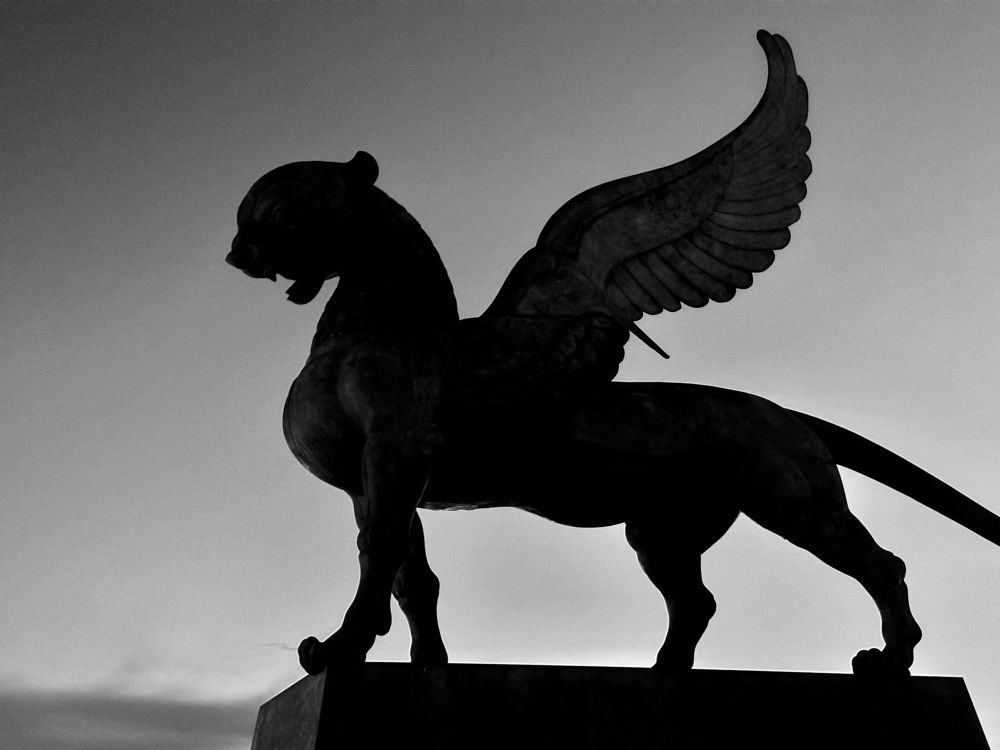 Photograph by Екатерина Целовальникова