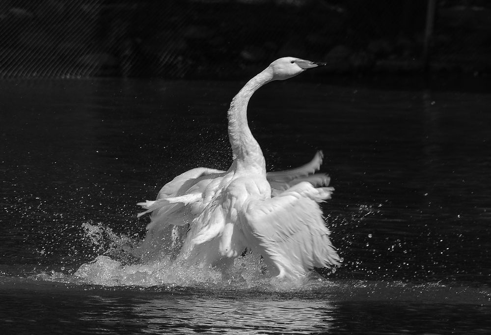 Photograph by Михаил Измайлов