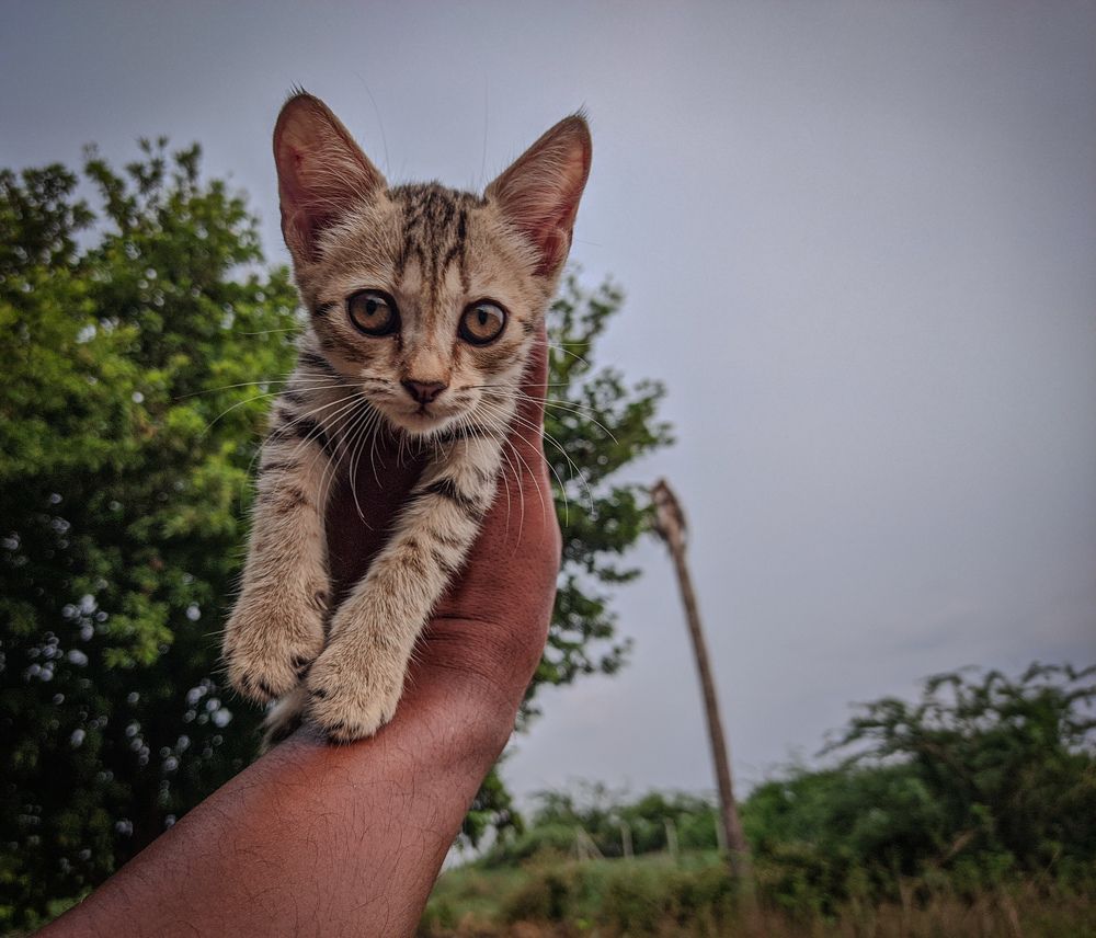 Photograph by Vijayakumar