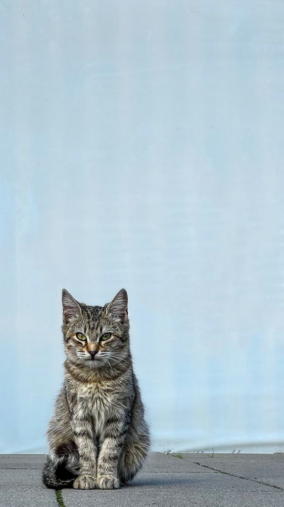 Photograph by Ольга Кондакова