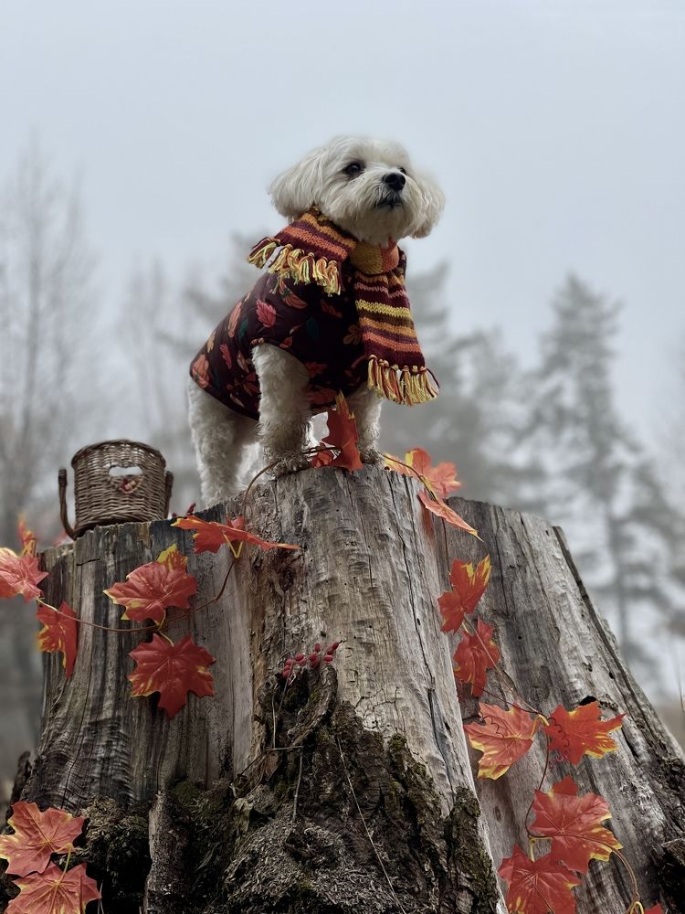 Photograph by Алина Иванова