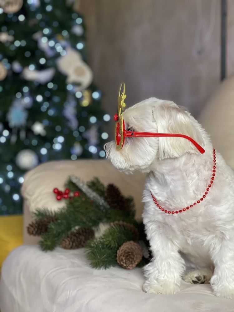 Фотография автора Алина Иванова