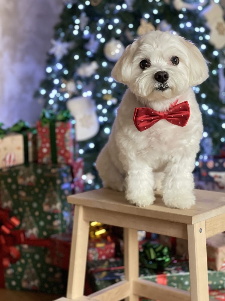 Фотография автора Алина Иванова