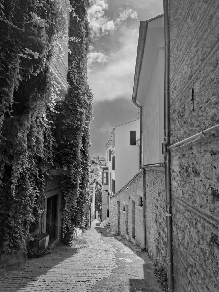 Photograph by Igor Chechin