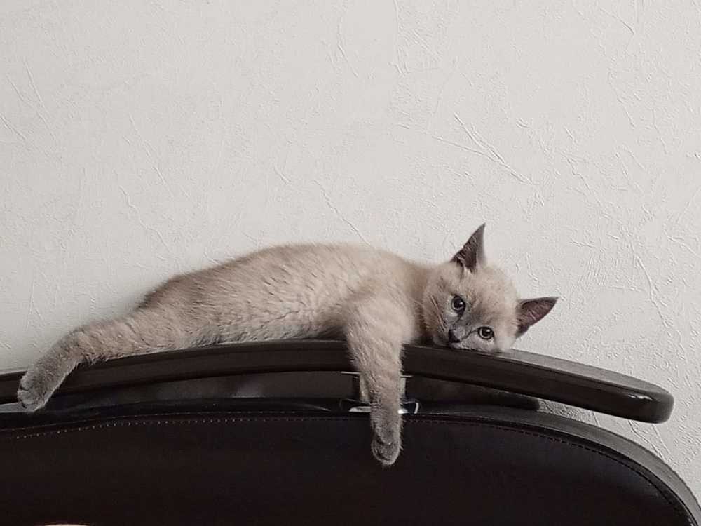 Photograph by Наталия Степанова