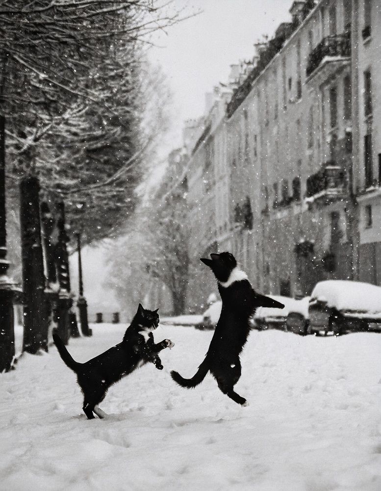 Winter in Paris
