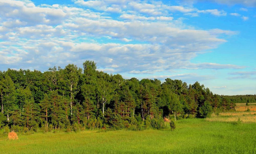 Photograph by Pjotr Alekseev