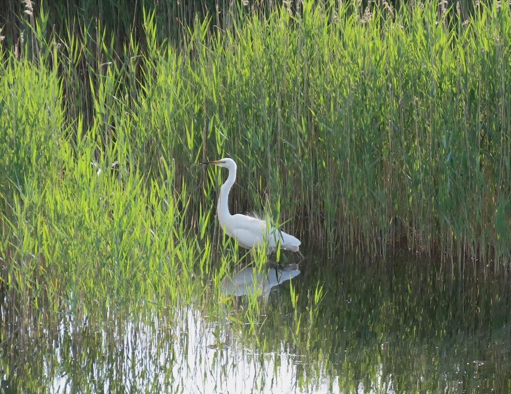 Photograph by Pjotr Alekseev