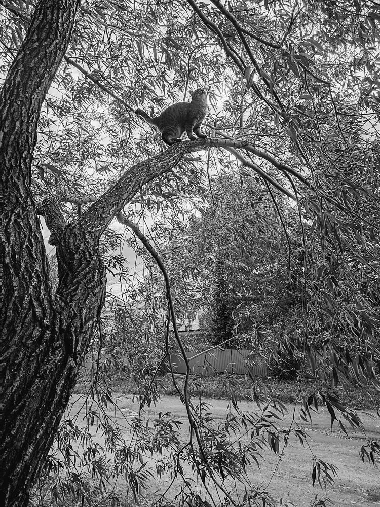 Photograph by Ирина Яук