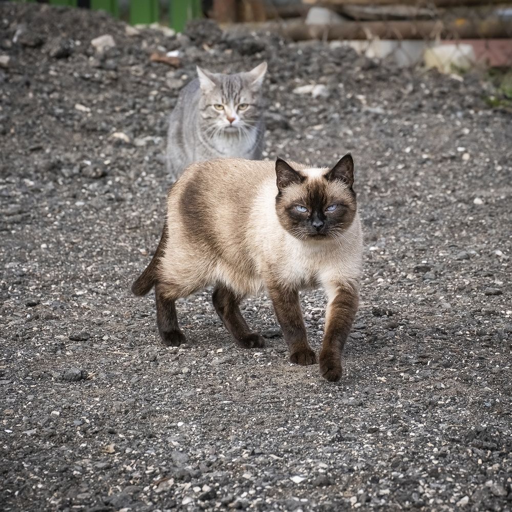 Photograph by Елена Ворошина