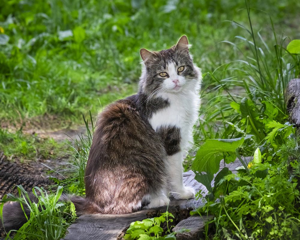Photograph by Елена Ворошина